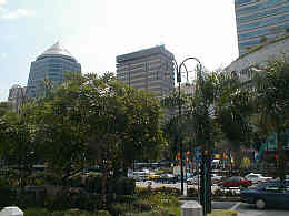 Palms & Modern Buildings